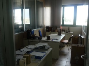 P1010316